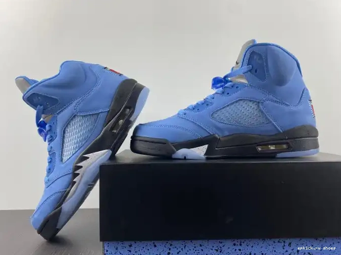 Rep 5 DV1310-401 Jordan UNC Air 0605